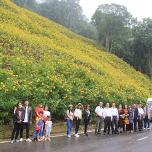 Alternative view of Ngắm Hoa Dã Quỳ - Ba Vì 1N