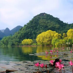 Alternative view of Chụp Ảnh Chùa Hương - Mùa Hoa Súng 1N